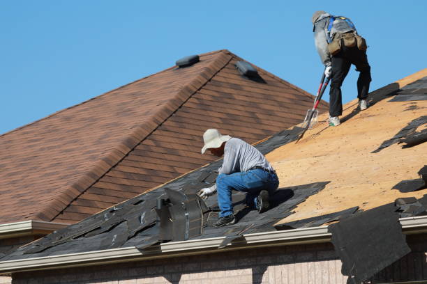 Best Rubber Roofing (EPDM, TPO)  in Lake Butler, FL