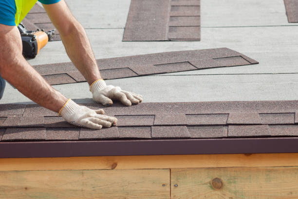 Asphalt Shingles Roofing in Lake Butler, FL